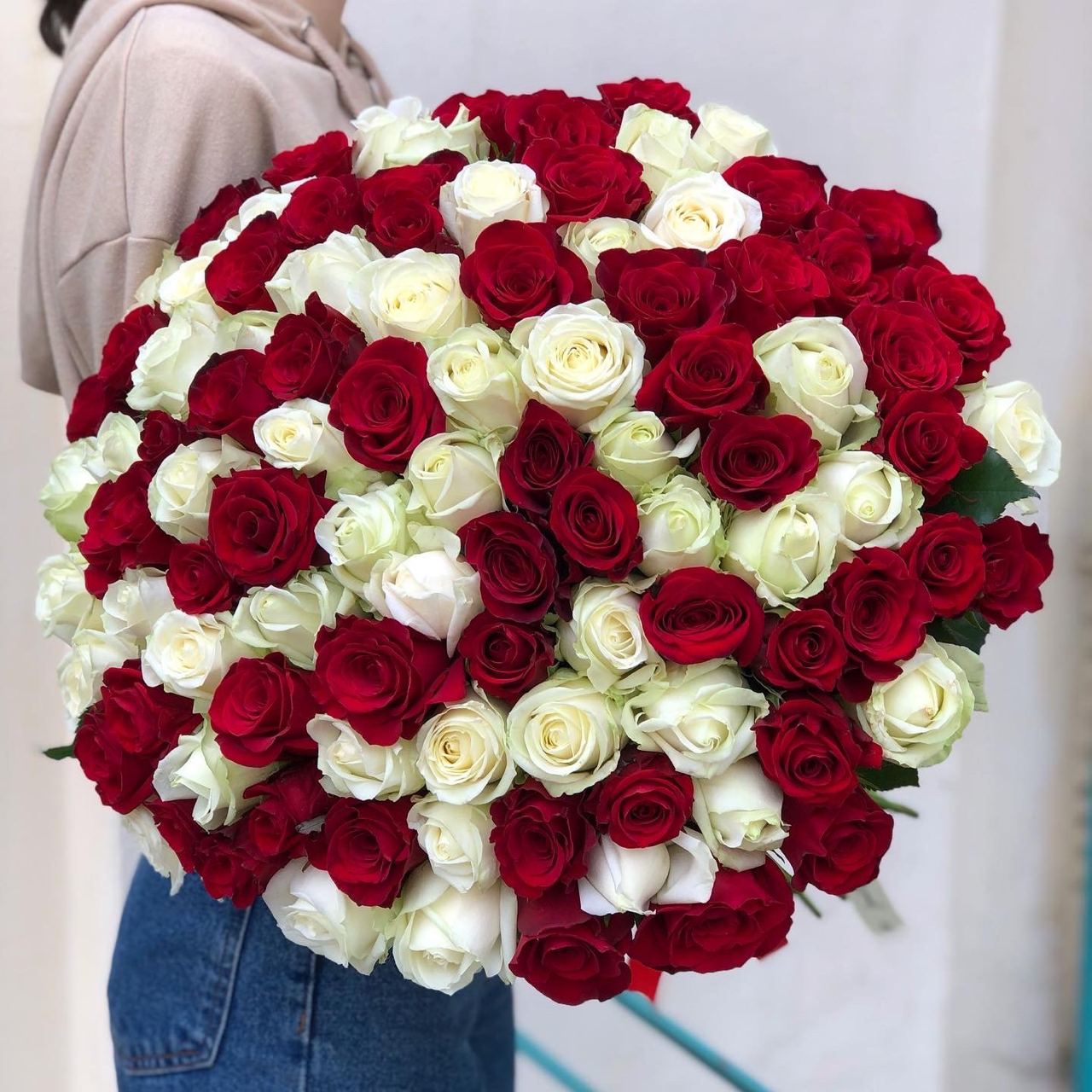 101 красно-белая роза